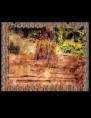 /album/image-gallery-project-highlights/j-rodriguez-med-jpg/
